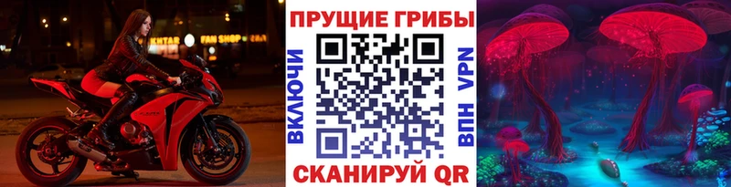 где купить наркоту  Стрежевой  Псилоцибиновые грибы мухоморы 